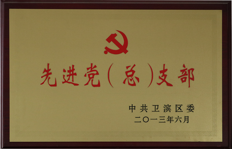 先进党（总）支部