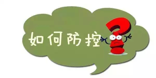 44444.webp